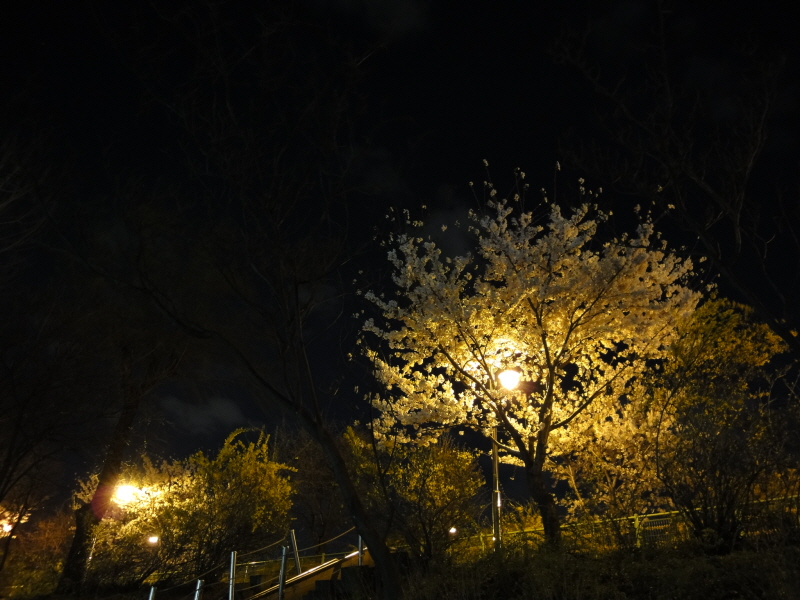 [DSC-WX1] 044.jpg